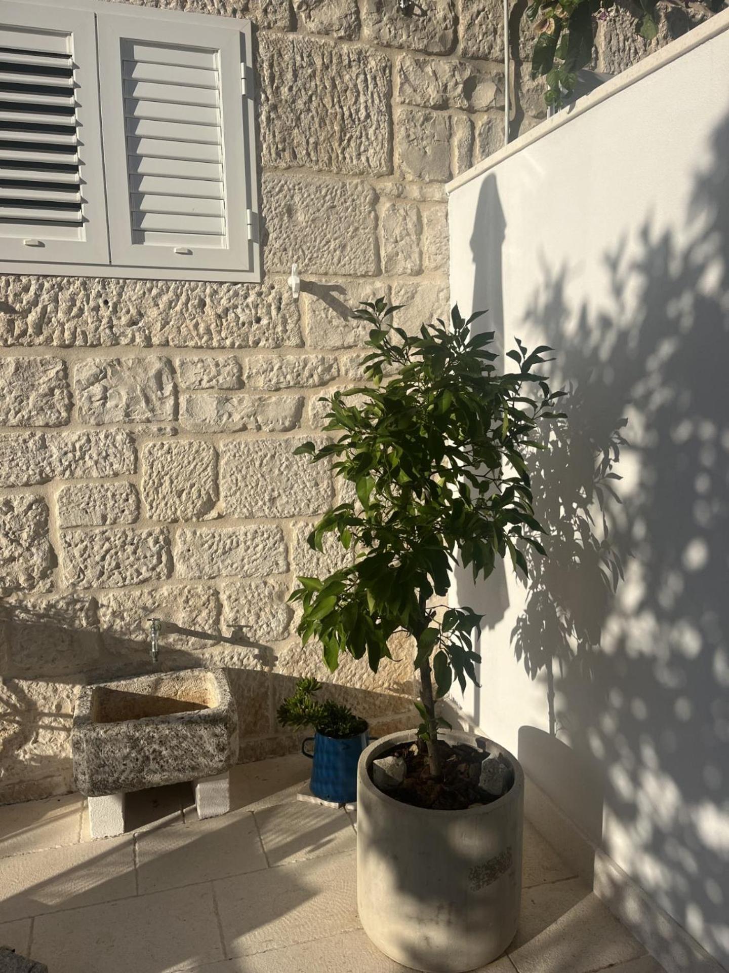 Apartment On The Sunny Side Korčula Buitenkant foto